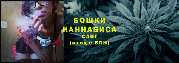 амф Верхний Тагил