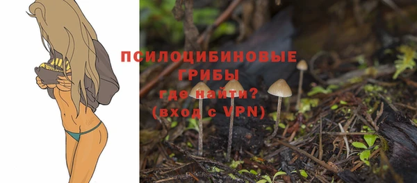 амф Верхний Тагил