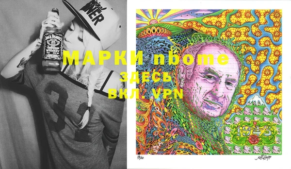 амф Верхний Тагил