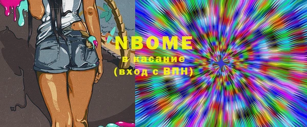 амф Верхний Тагил
