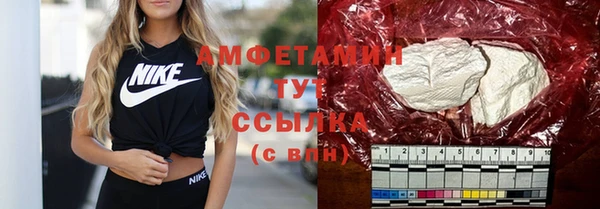 амф Верхний Тагил
