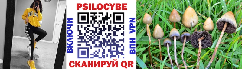 Псилоцибиновые грибы MAGIC MUSHROOMS  Псков 